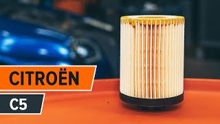 Cum schimb Filtru ulei motor CITROËN C5 II Break (RE_) - tutoriale video