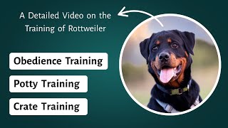Training a Rottweiler - Obedience Training, Potty Training, Crate Training