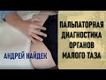 Пальпаторная диагностика органов малого таза. Андрей Найдек