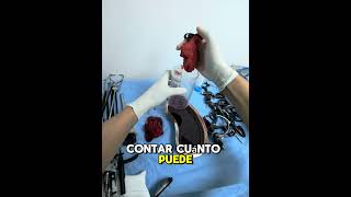 CUANTA SANGRE CABE EN 1 COMPRESA