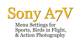 Sony A7V menu settings for sports, action, and performance still photography by PM-R :)