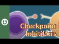 What are checkpoint inhibitors