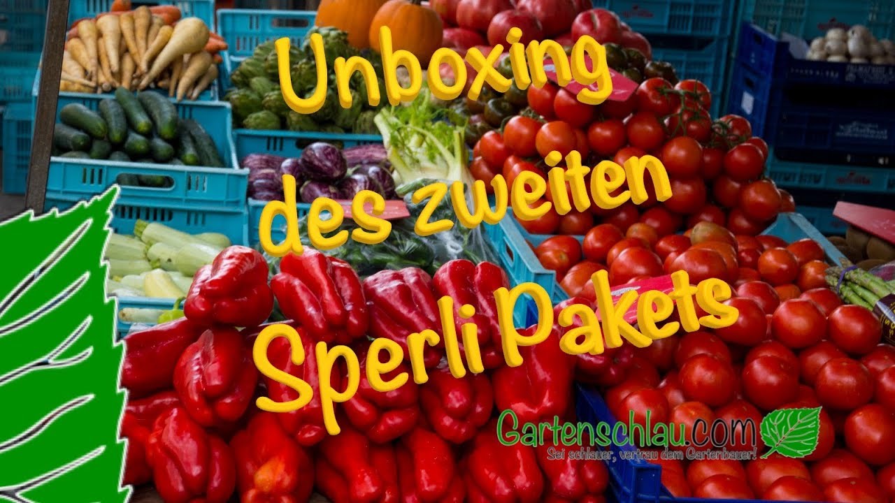 Gartenpaket sinnvoll prüfen: Knoblauch, Saatguttest und Sprossen-Sets