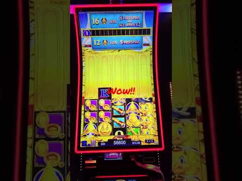 Fat Pirate Casino: Einfach online einloggen & in Deutschland spielen