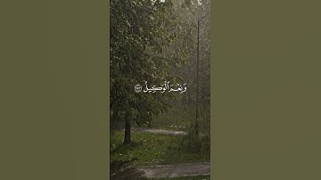 #القارئ : محمد أيوب  : #سورة_آل_عمران : ١٧٣ - ١٧٥