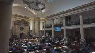 Louisville senator pushes to add exceptions to Kentucky's abortion ban