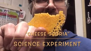 Cheese Scoria Geology Science Experiment Diyhomeschool