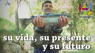 Riofrío dice si a la trucha arcoiris
