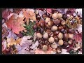 Nyari Chestnut di Taman di musim gugur🍁