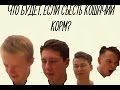 ЧТО БУДЕТ, ЕСЛИ СЪЕСТЬ КОШАЧИЙ КОРМ?