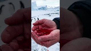 Blood falls Antarctica | Air terjun mengerikan di Antartika #facts #faktaunik #faktamenarik