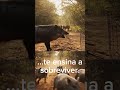 Um Contato que Mudou Tudo