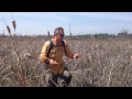 Marsh monitors keep tabs on deepening