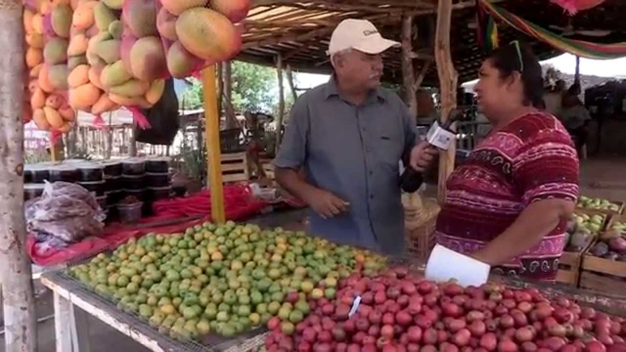 propiedades de la ciruela amarilla mexicana propiedades de la ciruela amarilla mexicana