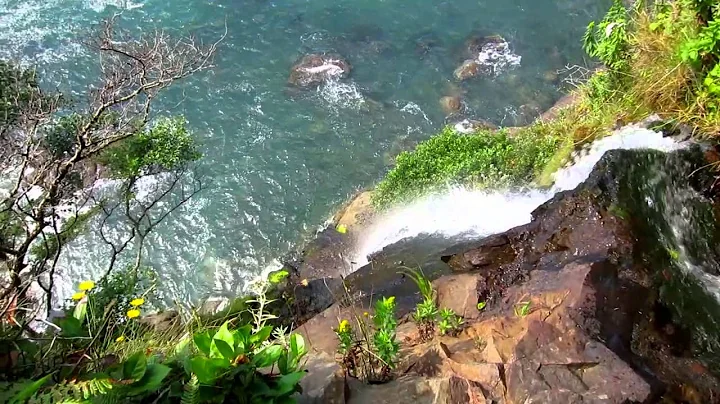 Waterfall  on the Olympic Coast
