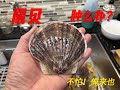 如何处理扇贝