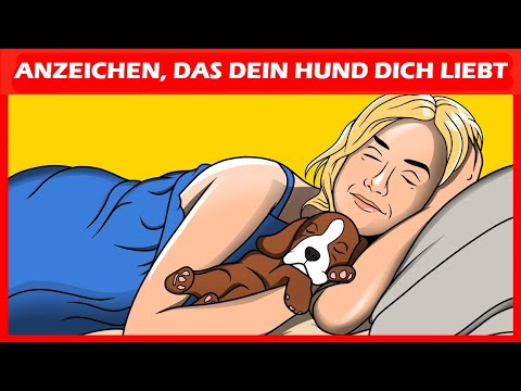 14 Anzeichen dafür, dass dein Hund dich WIRKLICH liebt, durch Wissenschaft bestätigt