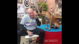 World's Smartest DOG by Omar von Muller 450,963 views 2 years ago 5 minutes, 28 seconds