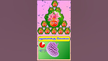 Brain game 113|Memory Game#memorygame #braingames #tamil #shorts #memorytest #braintest #sindi