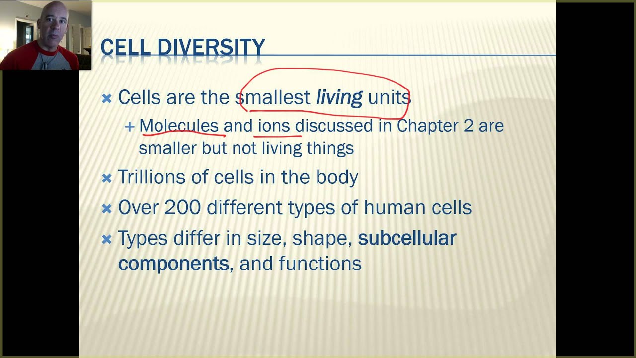 BIO 201 - UNIT 1 - Ch. 3 - Lec. 1 - Cells