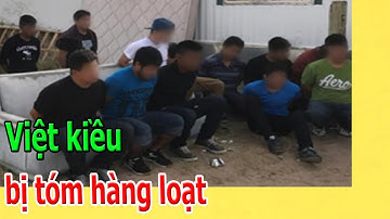 Việt kiều b,ị t,ó,m h.à.ng l.o.ạ.t