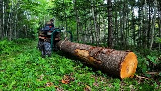 Loglander 28 Log Arch | Hauling a One Ton Log with my ATV | Flood at the Dovetail Cabin