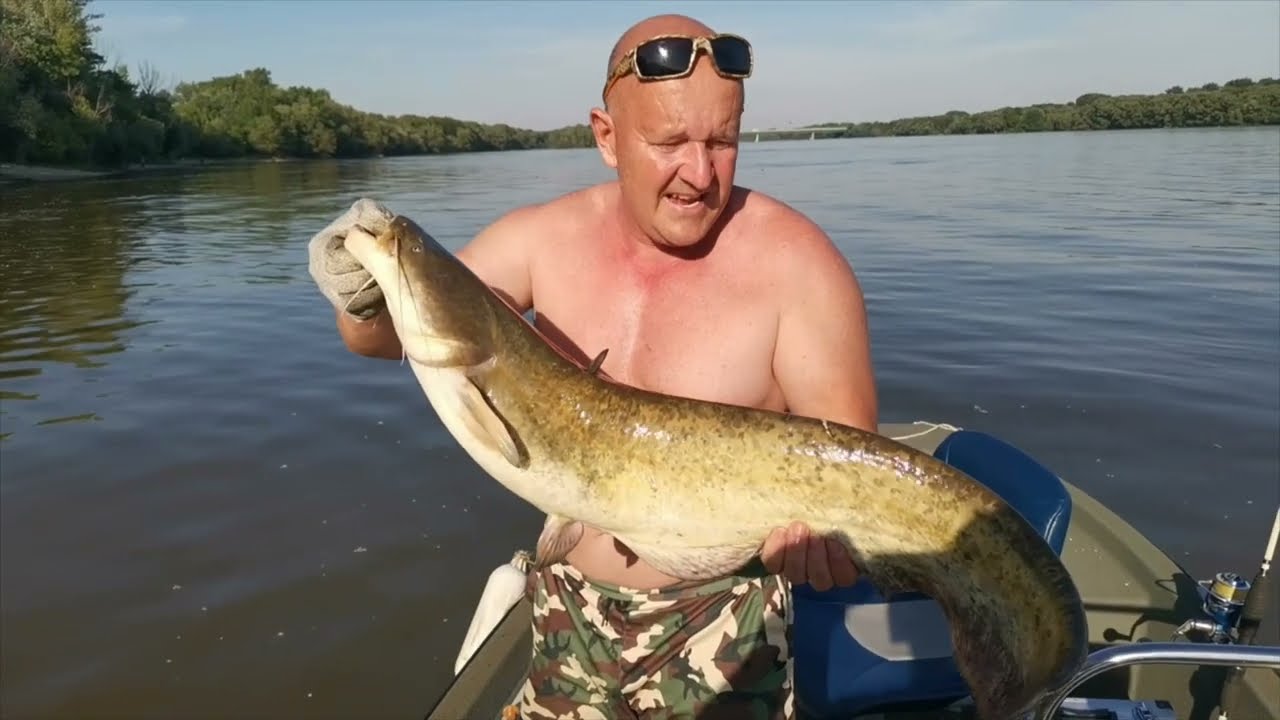 Harcsa fogások Turbooster Vízalatti Aroma Kibocsátóval!