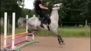 En Komi̇k At Kazalari 2022 Gülmece Eğlence