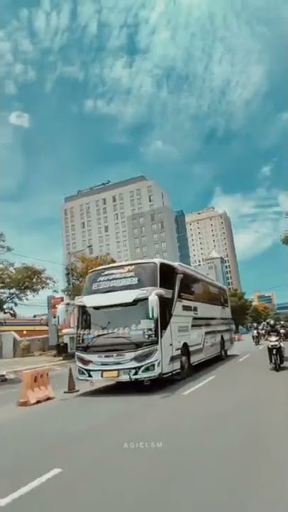 Story'wa Bus Pariwisata Tunggal Jaya KIDS PANDA