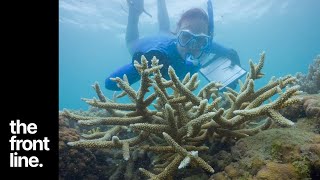 Inspiring community action on the Great Barrier Reef