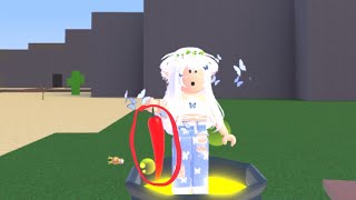 How to get the chili (Wacky Wizard) (Roblox)