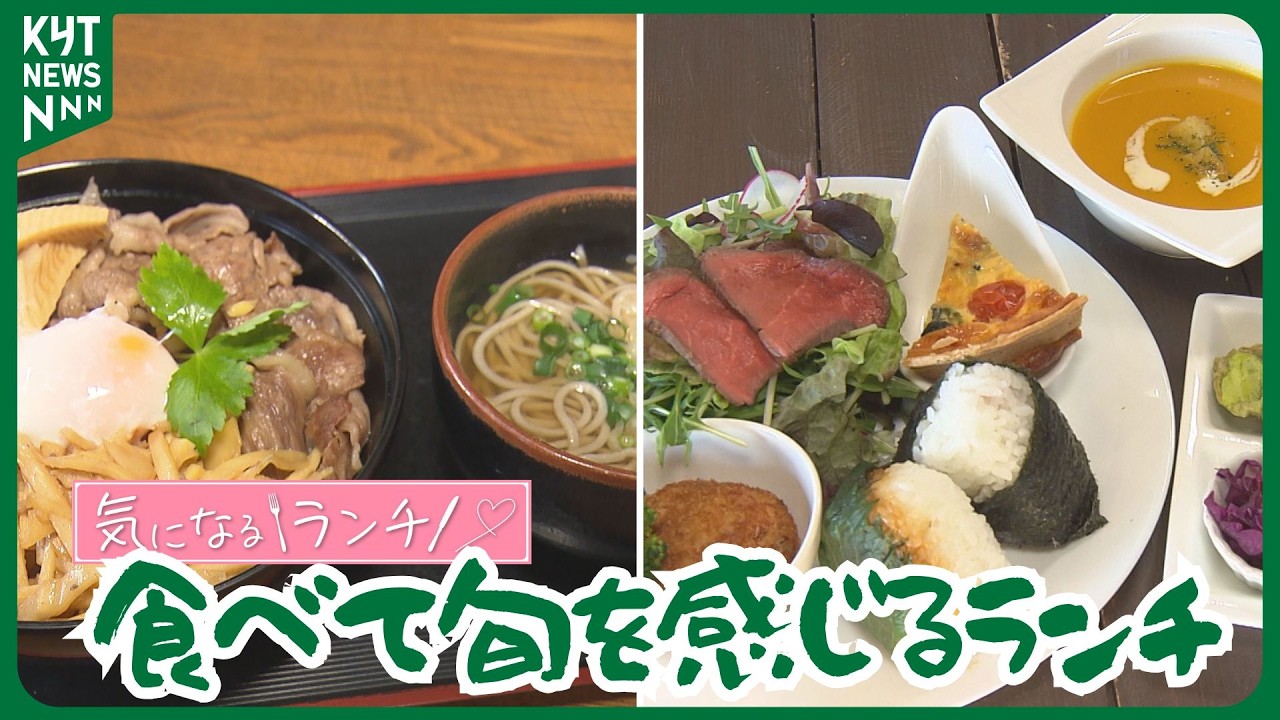 食べて旬を感じるランチ