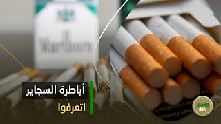 المسألة متخططة وهجوم كبير على باب البحر! الـ 5 كبار في سوق السجاير اتعرفوا.. ومسؤول كبير يكشف مصيبة