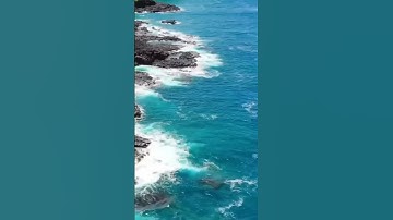 سورة الكهف و.. كا.نك تسمعها لأ..و.ل مر.ة💛.💐.💕..💓🌸بصوت الشيخ حمزة مدبو.ح 💚🌸.💜.🌼.💖.