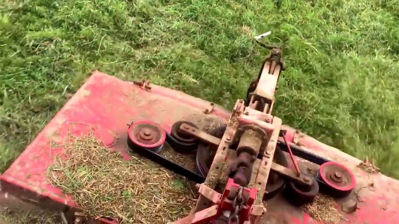 Brush hogging with the 5610 in the pasture YouTube