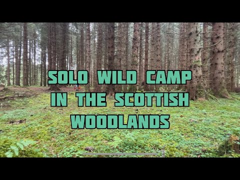 Solo wild camp in Scottish forest