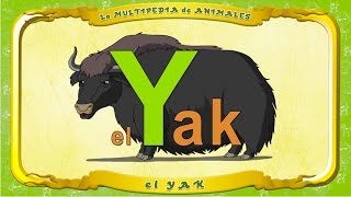 La Multipedia De Animales. Letra Y - El Yak