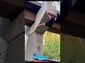 Badorer moto utse 🐒 😜 #viralvideo