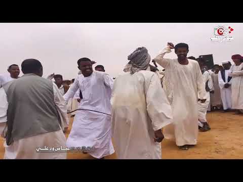 عبداللة ودالكرنكي عافي ليك يا سيد هواي حفلة نابلس