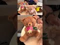 Combating loneliness with blossoms and teddy bears