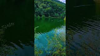 11월, 미리내 마리네별장에 가을이 머물다 #nature#미리내별장 #마리네별장 #미리내성지 #미산호수 #안성여행 #가을풍경 #단풍명소 #호수풍경 #자연감성 #가을감성