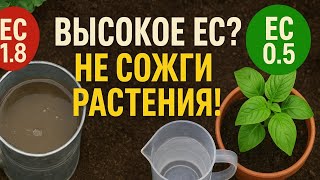 видео: Как подкармливать НПК, если вода солёная (высокое ЕС) — не сожги растения! #zemljadel картинка: Как подкармливать НПК, если вода солёная (высокое ЕС) — не сожги растения! #zemljadel