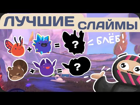 Нашел и скрестил НОВЫХ БЛЕБОВ