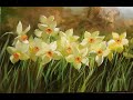 Нарциссы Daffodils  Vugar Mamedov