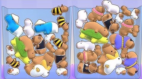 capybara puzzle live streaming player  adeshsainieditor,poojasaini