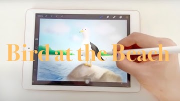 Drawing Cute Seagull on Ipad with Procreate