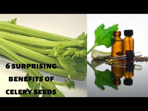 6 surprising benefits of celery seeds - What are the benefits of using celery seeds? | 247nht