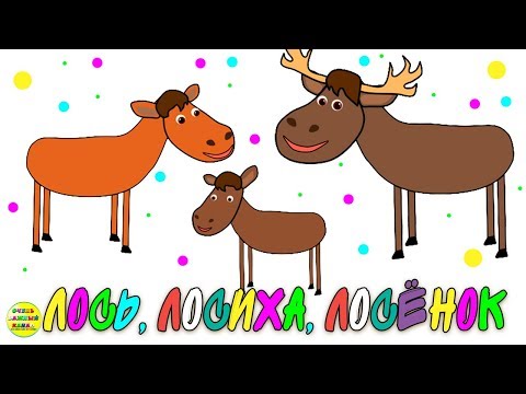 Учим диких животных: лось, лосиха, лосёнок! Развивающие мультфильмы о животных
