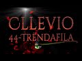 Cllevio  44 trndafila