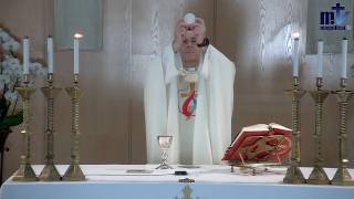 La Santa Misa de Hoy | Martes, VII Semana de Pascua (19-05-2026) | Pbro. Javier Martín, FM